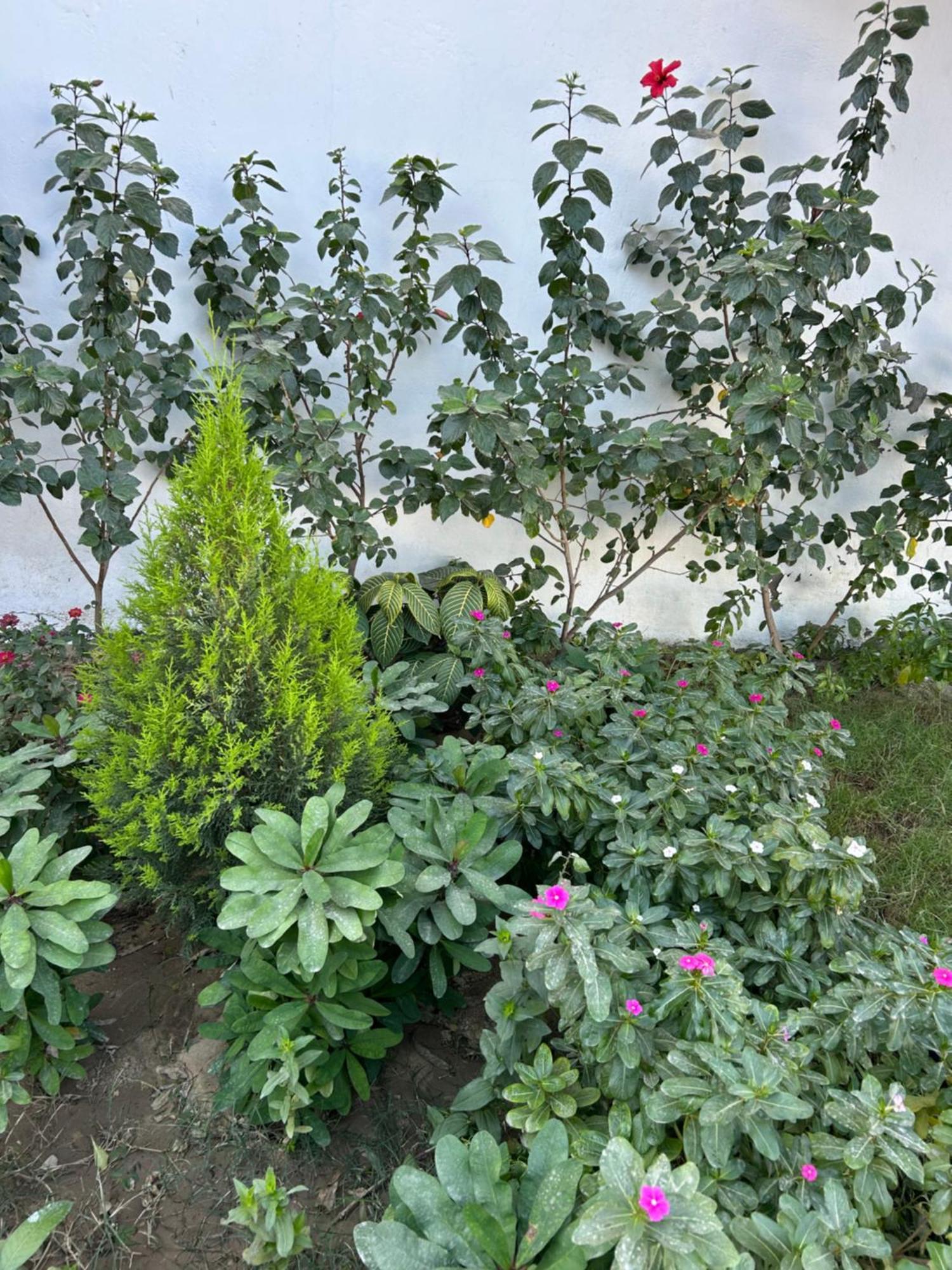 Lemon Tree Apartments Luxor Lel Agalta Zewnętrze zdjęcie