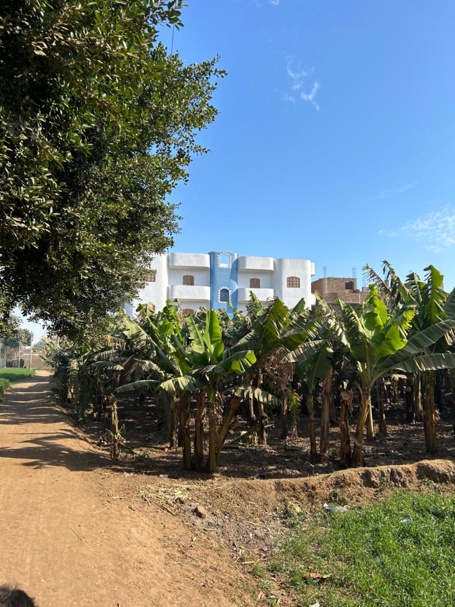 Lemon Tree Apartments Luxor Lel Agalta Zewnętrze zdjęcie