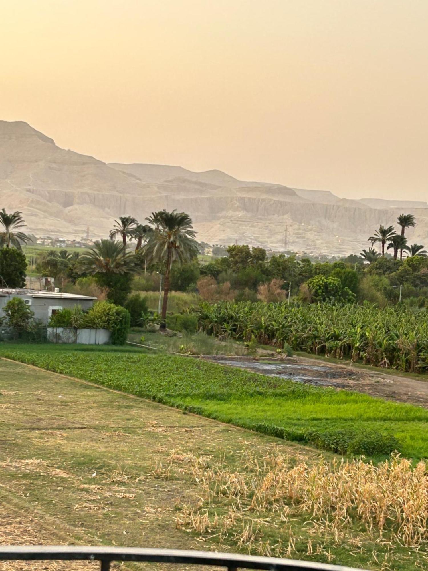 Lemon Tree Apartments Luxor Lel Agalta Zewnętrze zdjęcie